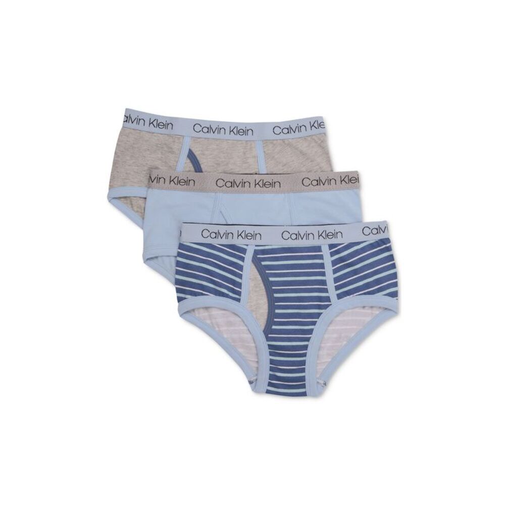 Calvin Klein 3 Pk. Cotton Briefs Little Boys Big Boys